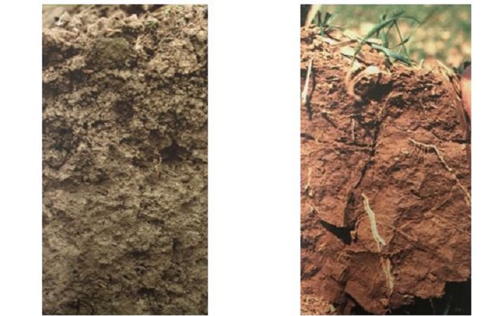 Рис. 1. Почва со здоровой структурой		Рис. 2. Уплотненная почва