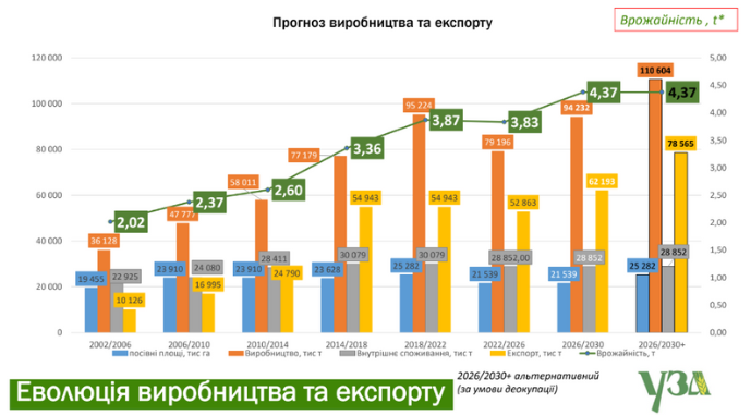 Прогноз виробництва та експорту зерна, УЗА, фото