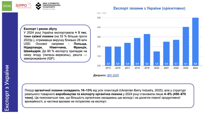 Експорт лохини, фото