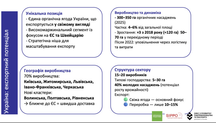 Виробництво лохини в Україні, фото