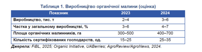Виробництво органічної малини в Україні, фото