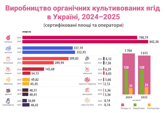 Виробництво органічних ягід в Україні, фото