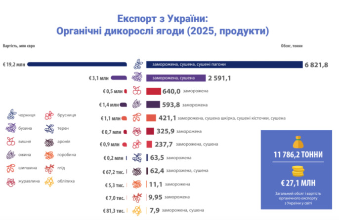 Експорт дикорослих ягід, фото
