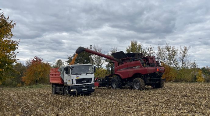 Збір кукурудзи, фото