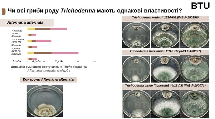 Препарати на основі грибів роду Trichoderma компанії BTU, фото