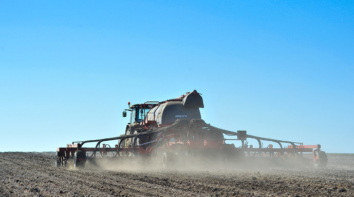 Flax sowing, photo