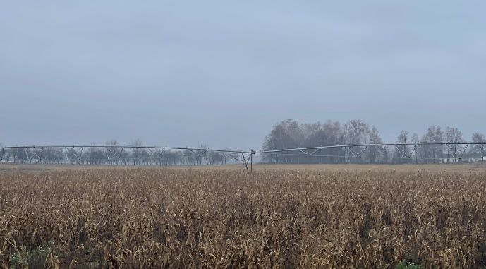 Зрошення у господарстві «Діброва», фото