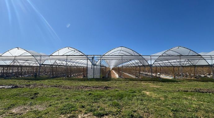 Теплиця Progress Tunnels