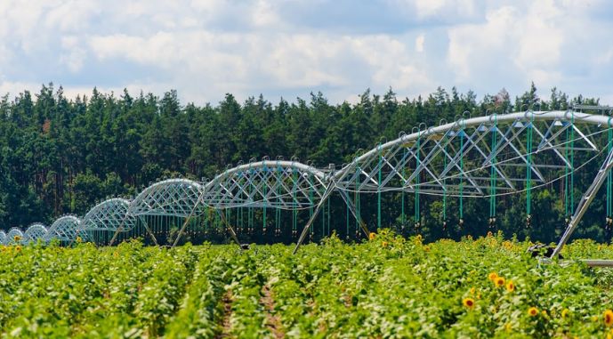 Компанія HarvEast має 8 зрошувальних машин виробництва Variant Irrigation, фото