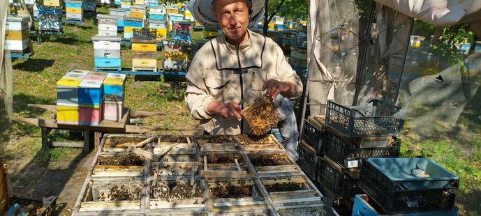 Заселення нуклеусів у травні. Джерело фото: власний архів Леоніда Єгошина