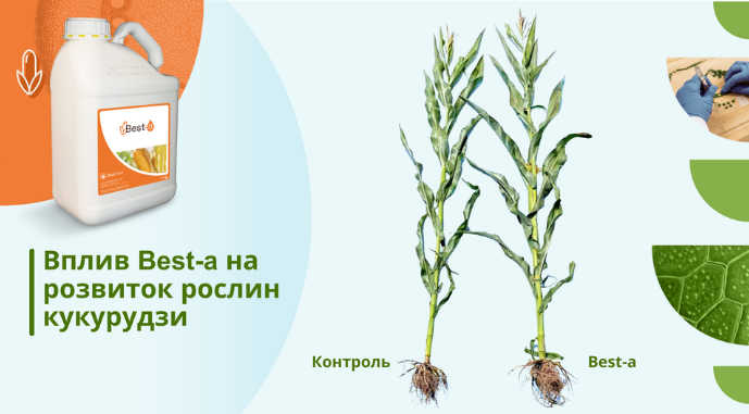 Фітостероли від Elicit Plant, фото
