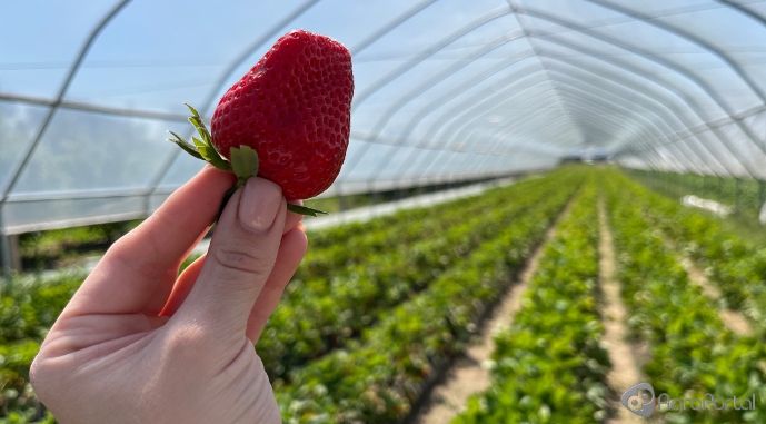 Джерело фото: AgroPortal.ua