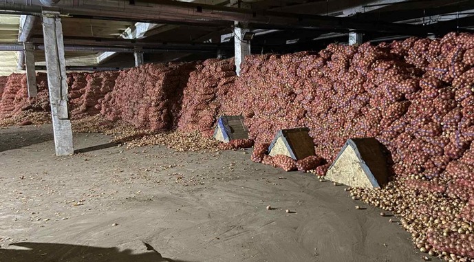 Овочесховище для цибулі, фото