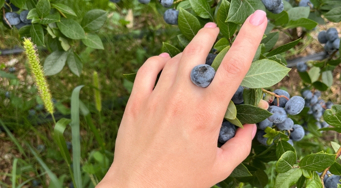 Джерело фото: AgroPortal.ua