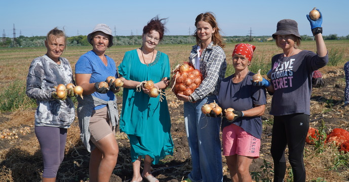 В Україні збирають корейську цибулю, фото