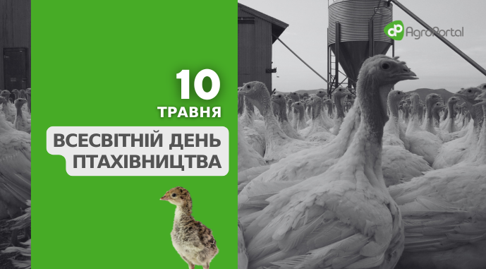 https://agroportal.ua/storage/media/uploads/Agro%20Kalendar/vsesvitniy-den-ptahivnictva.png