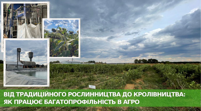 Багатопрофільна аграрна екосистема: досвід ТОВ «Агроплант» на Черкащині