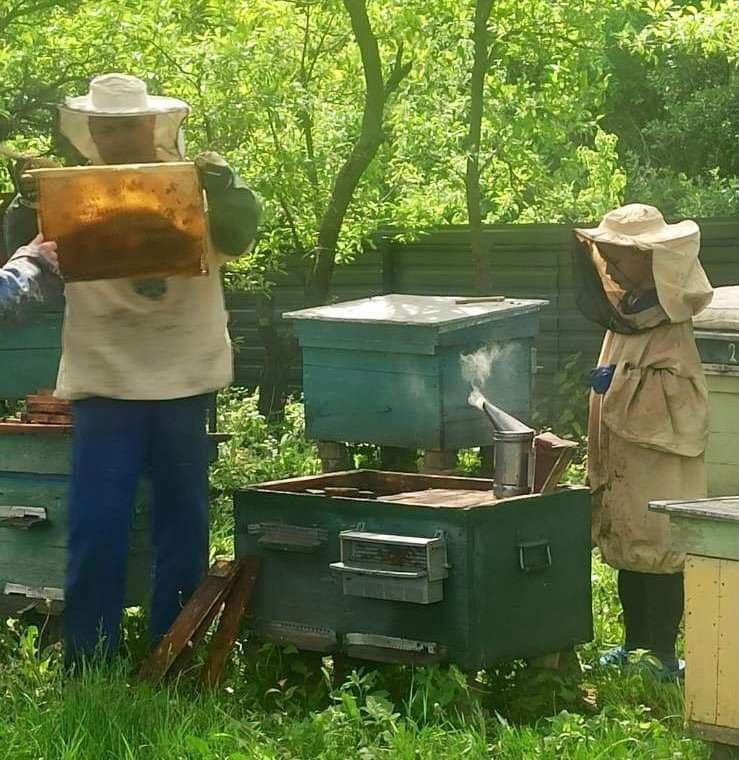 Пчеловодный инвентарь