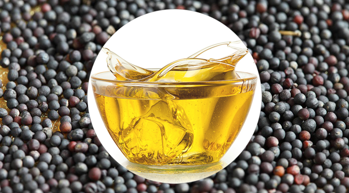 Despite Rapeseed Ban, Poland May Increase Oil Imports from Ukraine — AgroPortal.ua