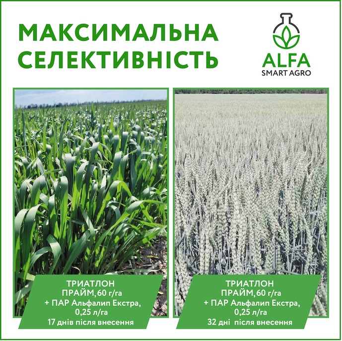 https://agroportal.ua/storage/media/uploads/TOP_MATERIAL/Triatlon%20praym_2023-1.jpg