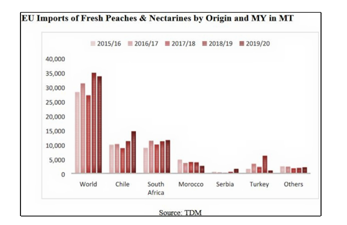Источник фото: freshplaza.com – Мировой импорт свежих персиков и нектаринов 
