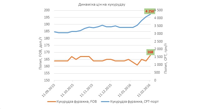 Фото: «Феникс Агро»