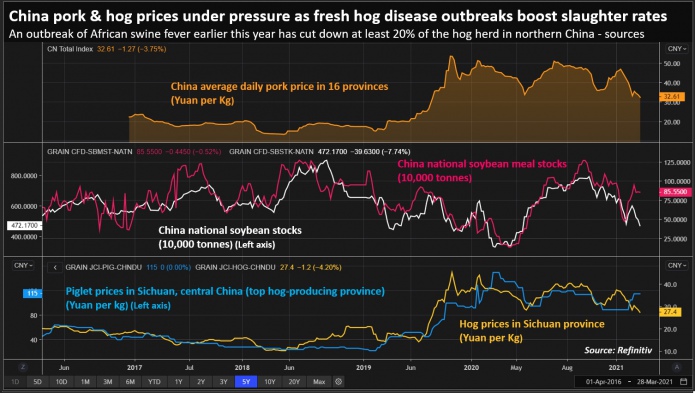 Цены на свинину и свиней в Китае находятся под давлением, поскольку вспышки болезни увеличивают показатели убоя