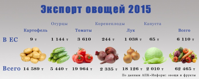 ИНФОГРАФИКА ОВОЩИ