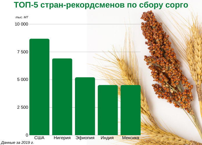 Источник фото: AgroPortal.ua