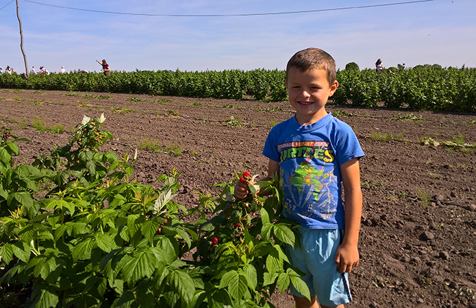 Источник фото: Алла Стрижеус, AgroPortal.ua