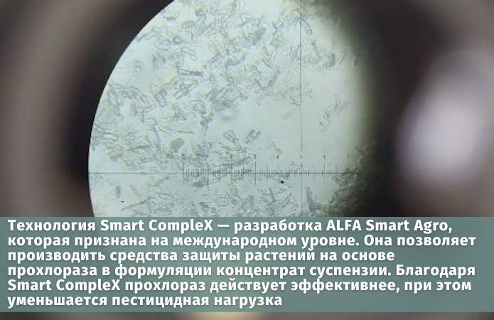 Кристаллы Smart CompleX под микроскопом