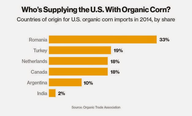 Кто поставляет в США органическую кукурузу. Фото: planetexperts.com