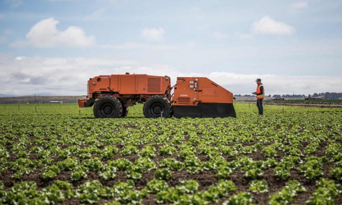 Роботы Farmwise используются фермерами в Калифорнии и Аризоне