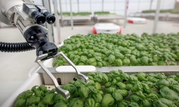 Iron Ox использует роботов для производства еды в теплицах