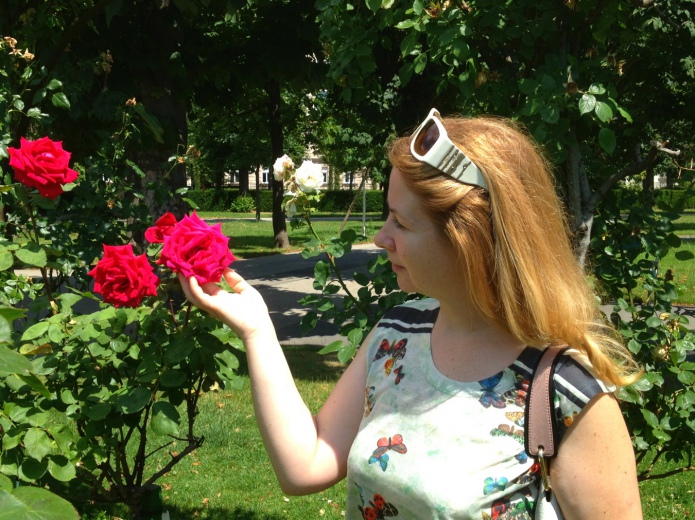 Розы в городском саду рядом с дворцом Hofburg