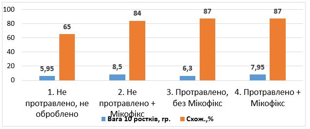 Рис. 2. Результаты проращивания семян подсолнечника, обработанных препаратом Микофикс