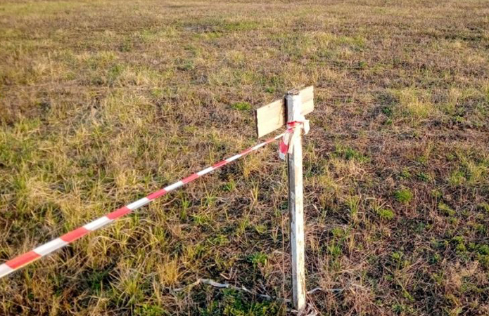 служанка порка